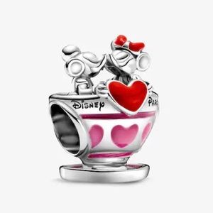Disney Park exclusive Pandora Charm 💖